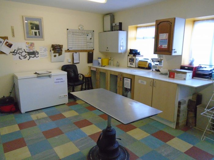 The Raptor Foundation